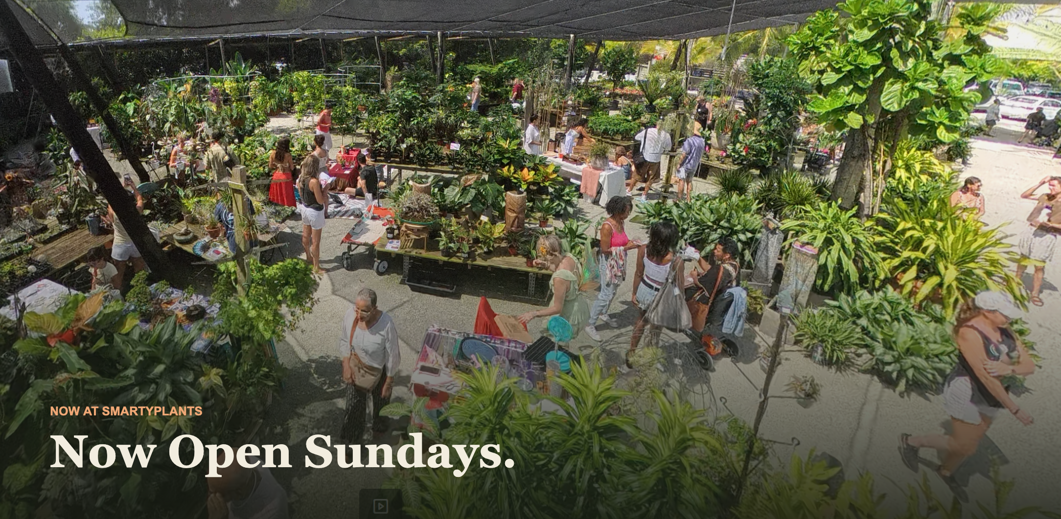 SmartyPlants Nursery — now open Sundays