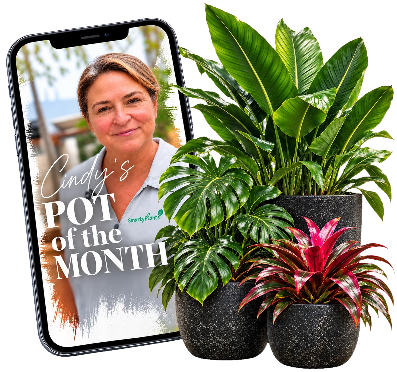 Cindy's Pot of the Month for October — black pots, 25% off